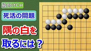 【囲碁問題】級向け・死活の問題（ダメ詰まりをつく！）