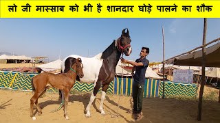 गुरु जी शिक्षा देते हैं घोड़ा पालन की मगर ....... | पुष्कर मेला 2021 Pushkar Fair Horse Market Video