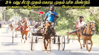 புதியகுதிரை பிரிவு 2 குளித்தலை குட்டப்பட்டி பந்தயம் puthiya kuthirai part 2 krish studio horse rac