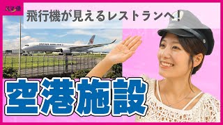 【8864 空港施設】空港を支える縁の下の力持ち！ 安定業績企業の株主優待はグッドロケーションのお食事券！【羽田空港/JAL/ANA】