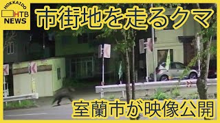 北海道室蘭市の市街地で目撃相次ぐクマ　市が映像を公開