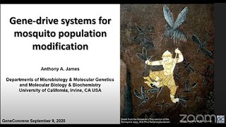 Gene-drive systems for mosquito population modification- Anthony James Sept 9, 2020