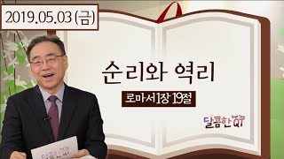 달콤한QT 하정완목사의 로마서묵상3: 순리와 역리