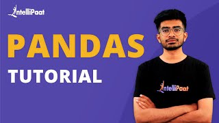 Pandas Tutorial | Pandas Dataframe Explained | Intellipaat
