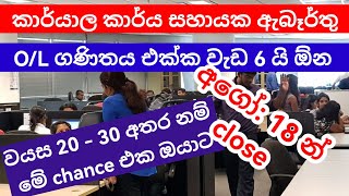 කාර්යාල කාර්ය සහායක ඇබෑර්තු 2024 | jobs vacancies in Sri Lanka | Office Aide