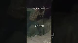 عركة السواعد بيت مانع والمواجد