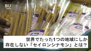 世界でたった1つの地域にしか存在しない「セイロンシナモン」とは？