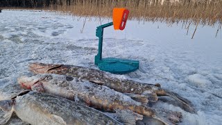 ПОПАЛ НА ТРОПУ ЩУК!!ЗИМНЯЯ РЫБАЛКА НА ЖЕРЛИЦЫ.РЫБАЛКА В ЛАТГАЛИИ.