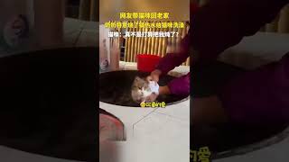 网友带猫咪回老家，奶奶特意烧了锅热水给猫咪洗澡 猫咪：真不是打算把我炖了？🤣#cat #动物 #搞笑 ｜China Today 中国头条