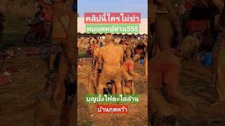 #เขาทำอะไรกัน? บุญบั้งไฟตะไลล้านปี66 บ้านกุดหว้า กุฉินารายณ์ กาฬสินธุ์