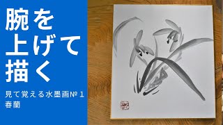 【見て上達する水墨画】春蘭「腕を上げて描く」！水墨画教室。見て覚える事が一番大事！