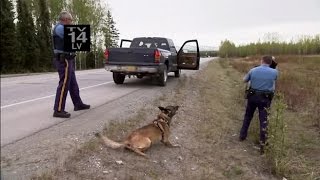 Alaska State Troopers S02E06 Armed and Dangerous