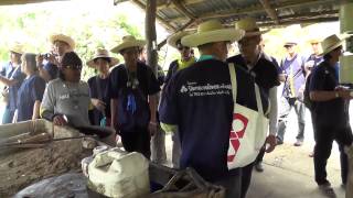 โครงการปิดทองหลังพระสืบสานแนวพระราชดำริ ครั้งที่ 12 วิถีชาวนาวิถีพอเพียง