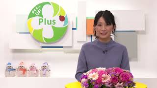 デイリーUP Plus（2月5日）