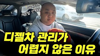 디젤차량은 정말 유지비가 저렴할까??