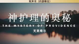 神护理的奥秘 The Mystery of Providence | 芙莱维尔 | 有声书