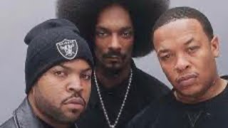 Ice Cube/N.W.A “Chin Check” LIVE 2023 #icecube #hiphop50 #live