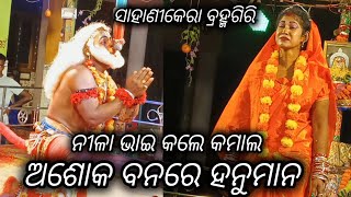 ଅଶୋକ ବନରେ ହନୁମାନ /ଲଙ୍କାପୋଡି /sahanikera brahmagiri puri /