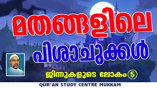 മതങ്ങളിലെ പിശാചുക്കൾ | ജിന്നുകളുടെലോകം Part - 5 | Rahmathulla qasimi | 17.11.2024