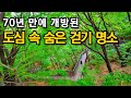 Can You Believe This Hiking Trail Has Been Open in 70 Years?ㅣSeoul travelㅣSeoul walkㅣSeoul Trip