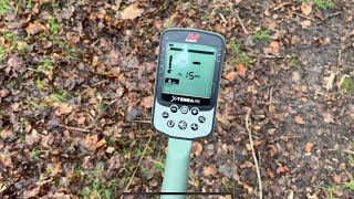 Minelab X-Terra Pro. Out in the forest