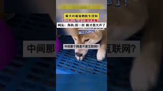 网友:狗狗:报一丝刚才我大声了