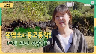 흑염소와 동고동락! 혜진 씨의 산골일기  [어바웃 우리동네] 2023.10. 30.(월)