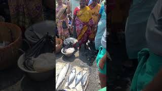 😱8 கிலோ Tuna 🍣மீன் விலை இவ்ளோதானா⁉️🐠#kasimedu #fish #trending #shorts