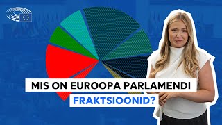 Tutvu Euroopa Parlamendi fraktsioonidega!