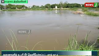 தாமிரபரணி ஆற்றில் வெள்ளப்பெருக்கு... | Thamirabarani River Flood | Heavy Rain | Western Ghats |