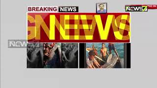 Fish Worth 7.50 Lakhs Catched From Bhadrak Dhamara Port