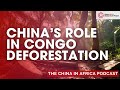 Chinese Companies Engage in Massive “Forest Looting” in the DR Congo