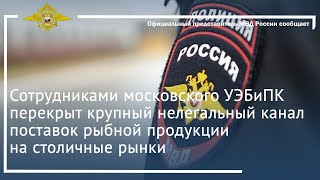 Ирина Волк:Сотрудниками УЭБиПК перекрыт крупный нелегальный канал поставок рыбной продукции на рынки