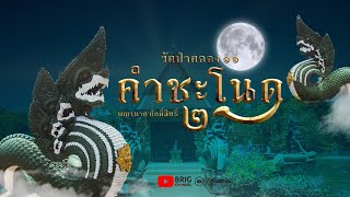 คำชะโนด 2 | วัดป่าคลอง 11 ปทุมธานี