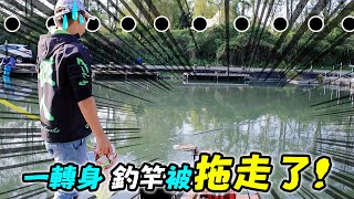 【跟我去釣魚】釣竿又飛出去啦! 一轉身就在水裡被拖走了 Mancing Ikan 三星山泉水福壽魚池 魚真的太衝了 #池釣 #宜蘭三星大隱魚池 #羅非魚