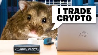 Meet Mr Goxx, the Crypto Trading HAMSTER! HUH?