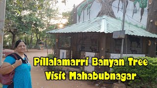 Pillalamarri Banyan Tree visit in Mahabubnagar