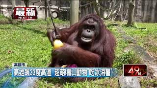 熱歪！ 高雄壽山動物園「請吃冰」 動物手腳並用萌翻