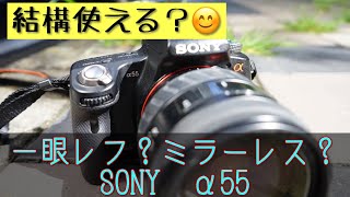 ミラーレスのような一眼レフ？（笑）SONY α55はなかなか使えるカメラ でした！ #ミラーレス一眼 #デジタル一眼レフ #α55 #avchd