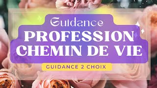 PROFESSION / CHEMIN DE VIE 💜 CE QUI VIENT À VOUS 🩷 2 CHOIX 🩷🌈 Tirage ☀️ Guidance Hautes Vibrations