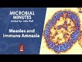 Measles and Immune Amnesia