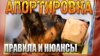 Апортировка в Мондьоринге  Правила и нюансы