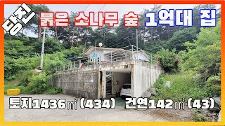 [물건번호2625]당진시 고대면 소나무 산 아래 땅 넓은 주택 을 소개 합니다, 붉은 소나무 숲속 작은 주택 입니다,  버스정류장 200m 거리에 있는 숲속 주택 입니다, 당진가격