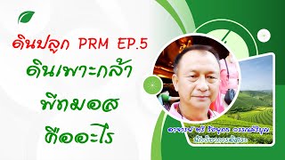 ดินปลูก PRM EP.5 : ดินเพาะกล้า พีทมอส คืออะไร