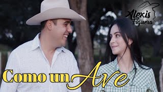 Alexis Figuera Como Un Ave - Video Oficial