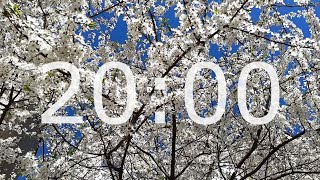 20 Minute Spring Timer with Relaxing Music and Alarm