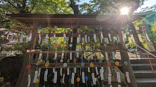 【京都嵐山、松尾大社】［総まとめ編］風鈴祈願の風鈴が綺麗で癒やされました🎐松尾大社の奥にある「霊亀の滝」など、見どころいっぱいです。#癒し #祭り #風鈴 #松尾大社