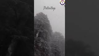 Fresh Snow Fall in Amazing Patnitop, Jammu!