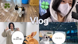 [Vlog] 연극영화과 입시 브이로그🥰 연영과 정시 실기 | 결과 확인의 순간 | 입시의 끝