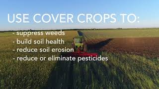 Roller Crimping Cover Crops